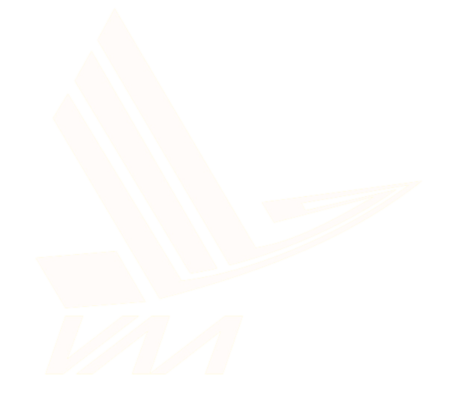 VAA Logo White